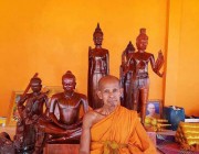 ឈើក្រញូងដែលជនល្មើសលួចកាប់នៅតំបន់អង្គរឥឡូវចេញរូបរាង្គ ហើយ