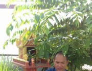 ទេពធិតា ២០១៧ ឆ្នាំរកា ខ្លាចស្ទះចរាចរណ៍ នាំគ្នាចុះកណ្តាលទៀបភ្លឺ !