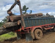 កក្រើកជាថ្មីលើទឹកដីខេត្តព្រះវិហារ លើសកម្មភាព រថយន្តបង្កុងកំពុង ដឹកជញ្ជូនផលអនុផលព្រៃឈើយ៉ាងមមាញឹក.!