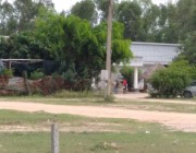 ក្រុមអ្នកញៀនល្បែងមានទាំងខ្មែរនិងវៀតណាមបានប្រមូលផ្តុំគ្នាលេងជល់មាន់នៅក្នុងកាសុីណូអត់មានស្លាកយីហោមួយកន្លែងនៃមាត់ច្រកទ្វារព្រំដែនរបៀងស្វាយអាង៉ោងយ៉ាងគគ្រឹកគគ្រេង ផ្ទុយពីអនុសាសន៍របស់ប្រមុខរាជរដ្ឋាភិបាលក្នុងការបង្ការការពារទប់ស្កាត់ការឆ្លងរីករាលដាលជំងឺកូវីដ១៩…..