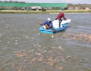 រដ្ឋមន្រ្តីក្រសួងកសិកម្ម រុក្ខាប្រមាញ់ និងនេសាទ ស្នើអោយក្រុមហ៊ុនផ្អាករឺកាត់បន្ថយការ នាំត្រីចូល ព្រោះការចិញ្ចឹមត្រីក្នុងស្រុក មានសន្ទុះកើនឡើង