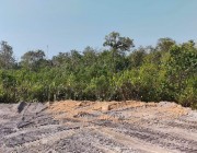 ដីព្រៃលិចទឺកជាច្រើនហិកតា ដែលជាជម្រក ក្ដាម បង្កង បង្គា មឹក បន្តពូជ នៅភូមិអណ្តូងទឹក ឃុំអណ្ដូងទឹកស្រុកបុទុមសាគរ ខេត្តកោះកុង ពេលនេះត្រូបាន ក្រុមឈ្មួញចាក់ដីលុបទ្រុងទ្រាយធំ លើសពីប្រជាជនរស់នៅជាក់ស្តែង