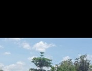 លោកមេប៉ុស្តិ៍ច្រកទ្វេភាគីដាក់ដាំ បំភ្លឺ ថា មិនមានការចរាចរណ៍ឈឺ ឆ្លងកាត់ ច្រកទ្វារទ្វេភាគី ដាក់ដាំនេះ ទៅប្រទេសវៀតណាម នោះទេ បើគ្រាន់តែដោះដូរទំនិញតិចតួច គឺមានពិតប្រាកដមែន។