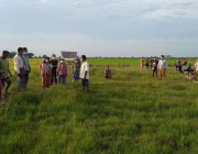 ប្រជាពលរដ្ធសំណូមពរដល់ថ្នាក់ដឹកនាំមេត្តាជួយអន្តរាគមន៍ចេញប្លង់កម្មសិទ្ធប្រើប្រាស់ដីធ្លី ខណៈដីពួកគាត់ធ្វើស្រូវតាំងពីដូនតាមកមិនទាន់មានប្លង់.
