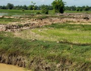 ឈ្មួញជីកកាយយកអាចដីបាតបឹងសាធារណៈនិងដីស្រែរបស់ពលរដ្ធលក់ធ្វើជាប្រយោជន៍បុគ្គលឯកជន..