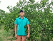 ក្រូចពោធិ៍សាត់ខេត្តបាត់ដំបងនៅតែជាប់ចិត្តជាមួយអតិថិជនរក្សាតម្លៃបានល្អបើធៀបនឹងឆ្នាំមុនៗធ្វើឲ្យជីភាពគ្រួសារប្រជាកសិករកាន់តែប្រសើរ