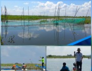 ពលរដ្ឌ ស្រុកកោះធំ ស្រុកលើកដែក ស្នើអោយមន្រ្តីជំនាញជលផលអនុវត្តន៍ច្បាប់អោយបានស្មើភាពគ្នា