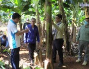 ឯកឧត្តម ញ៉ែម សំអឿន សាទរចំពោះភាពឆ្លាតវៃរបស់ក្រុមហ៊ុន ស៊ីង ហឺរ អ៉ី ដែលបានចាប់យកឱកាស ធ្វើការវិនិយោគ ដំណាំចេកអំបូងលឿង ក្នុងខេត្តរតនគិរី