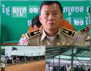 សង្វៀនមាន់ជល់ អាប៉ោង ធំជាងគេចំណុចដំណាក់នាគ ក្រុងសែនមនោរម្យ ខេត្តមណ្ឌលគិរី ហាក់ចង់ដុះស្នឹម