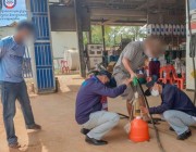 ធ្វើទាល់ងាប់ខ្លួនទៀត ក៏នៅមានអ្នកលួចលក់ប្រេងមិនគ្រប់ បើខាងក្រុមហ៊ុនលក់ប្រេងមិនចូលរួម ដាក់ពិន័យ ដូចជាផ្តាច់ការផ្គត់ផ្គង់ប្រេងមួយរយ:ជាដើម ។
